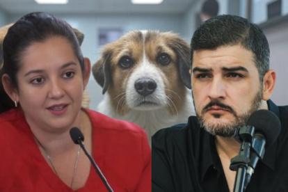 La exdirectora municipal y activista de los derechos de los animales rechazó los señalamientos del alcalde de Guayaquil.