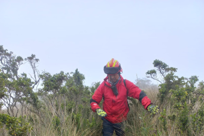 Personal del Cuerpo de Bomberos participan en las labores de búsqueda.