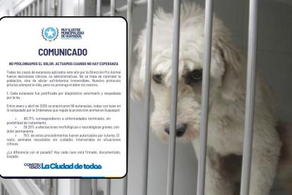 El Municipio respondió a los señalamientos de Rescate Animal.