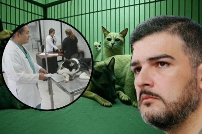 La gestión de Aquiles Álvarez en asuntos de bienestar animal ha sido "atareada"