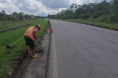Personal del MTOP realiza labores de limpieza en vías estatales para mantener la conectividad y garantizar la seguridad vial