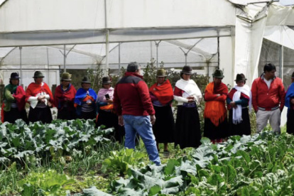 Llaktapura impulsa el empoderamiento de mujeres indígenas en Ambato con formación agroecológica y derechos.