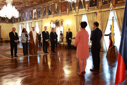 Diplomáticos extranjeros se presentaron en Carondelet.