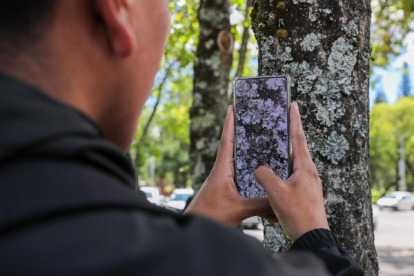 Ecuador inicia identificación de especies mediante fotos.