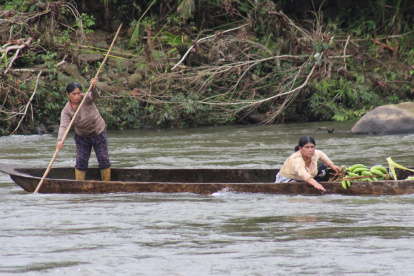 Labores. Además de criar a los hijos, las mujeres chachos cultivan, pescan y reman en el río, convirtiéndose en la figura de sostén de la familia.