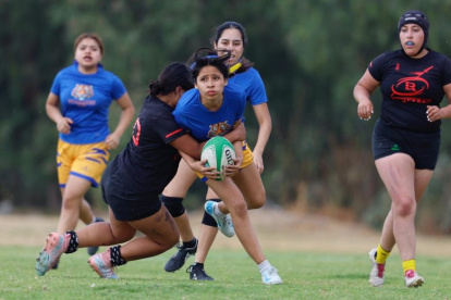 Universidad Nacional Autónoma de México (UNAM) y Nuevo León durante un partido.