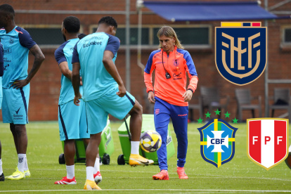 Sebastián Beccacece sumó experiencia para los duelos ante Brasil y Perú.