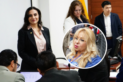 La jueza Nubia Vera concedió la acción de protección en favor de la entonces vicepresidenta Verónica Abad en diciembre de 2024.