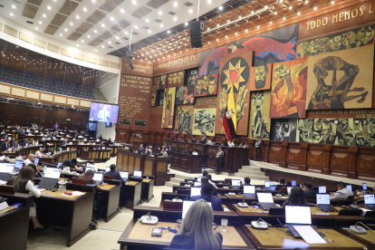 El Pleno de la Asamblea conoció en primer debate la ley urgente para desarticular las economías criminales.