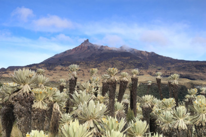 El Teatro Sucre acoge muestra de biodiversidad.