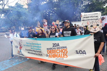 En Guayaquil, las organizaciones se citaron en el parque Centenario.