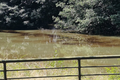 La marea desplazó la sustancia hacia Urdesa y Kennedy, según confirmaron las autoridades.