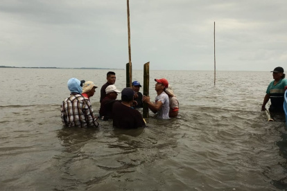 ONG. Fundación CALISUR está comprometida a ser un modelo de conservación ambiental con desarrollo económico inclusivo.