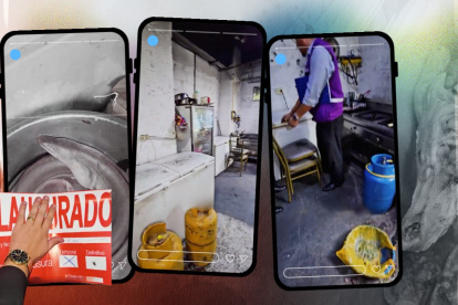 En el video publicado por Arcsa se observan anguilas y cráneos de animales congelados en el interior de los equipos de cocina del chifa clausurado.