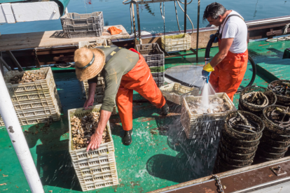 Pescadores industriales advierten que el alza en costos por el diésel afectará su actividad.