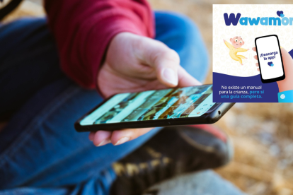 Imagen referencial de la aplicación Wawamor.