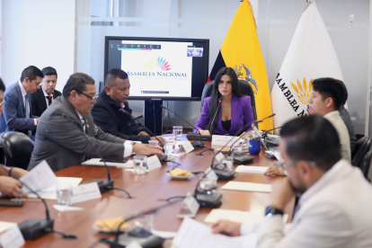 La Comisión de Participación está presidida por la legisladora oficialista Dian Jácome.