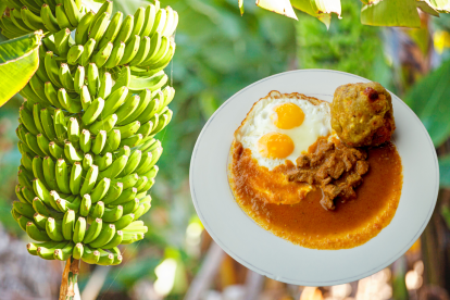 Comerciantes en Guayaquil reportan escasez de plátano verde y alza sostenida de precios en mercados y tiendas.