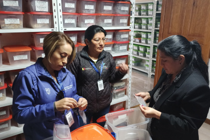 Más de 50.000 insumos médicos sin registro sanitario fueron retirados del mercado en Cuenca.