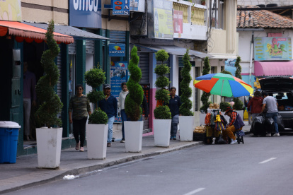 En la calle Eugenio Espejo se implementaron 30 macetas con distintas especies de plantas. Hace un año se colocaron en la Juan Montalvo.