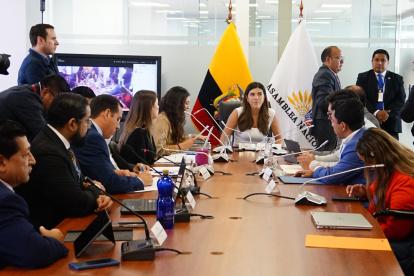 La Comisión de Desarrollo Económico aprobó por unanimidad el segundo informe de la ley de Daniel Noboa.