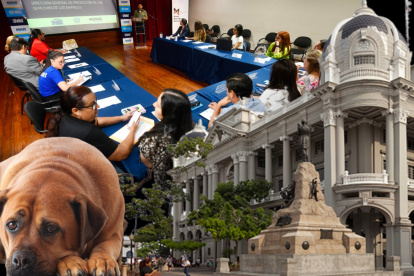 Reformas, adopciones y sanciones: así planean reforzar el bienestar animal en Guayaquil.