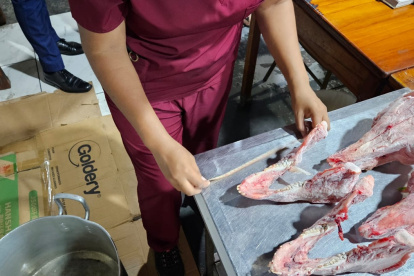 Personal técnico del Ministerio de Ambiente realizó los exámenes a los cráneos de los animales hallados en un chifa.
