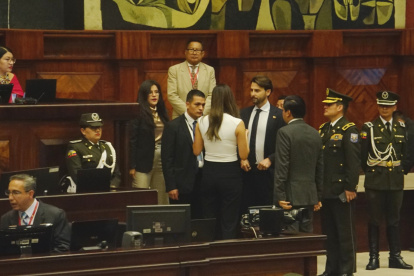 El 5 de junio de 2025, el echar abajo la terna para la Judicatura enviada por la Asamblea de Viviana Veloz provocó reacciones en la Asamblea.