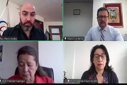 El Pleno del Consejo de la Judicatura destituyó a dos exjueces sentenciados y sancionó a otro.