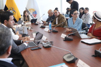 La Comisión de Seguridad sesionó este sábado 7 de junio