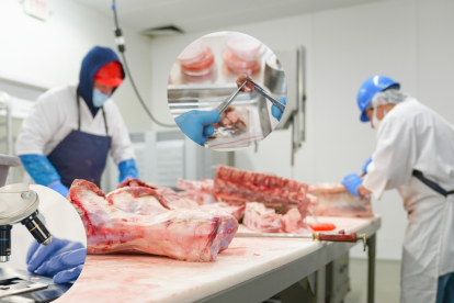 La carne cultivada replica el sabor y la textura de la carne tradicional sin criar ni sacrificar animales, en un entorno controlado