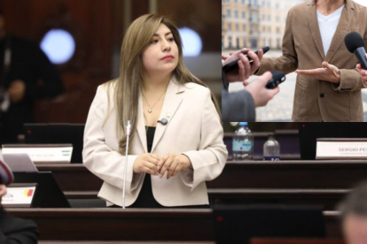 Inés Alarcón, asambleísta de ADN, aseguró que los periodistas no tendrán que revelar los nombres de sus fuentes, antes de la votación de la Ley de Inteligencia.