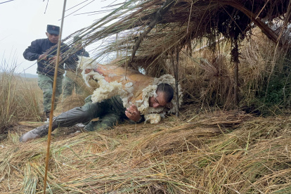 Sobrevivir en condiciones adversas, el reto del soldado.