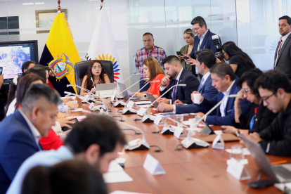 La subcontralora compareció ante la Comisión de Régimen Económico.