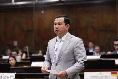 El asambleísta del oficialismo, el excorreísta Ferdinan Álvarez.