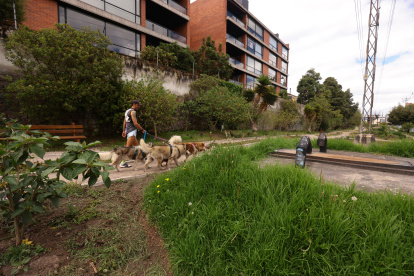 El proyecto del jardín silvestre en Bellavista recuperó un lugar inseguro con camineras y un humedal.