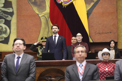El presidente de la Asamblea, el oficialista Niels Olsen.