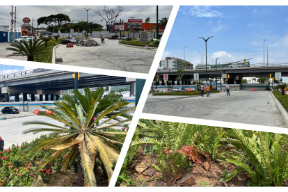 El inicio de la avenida Isidro Ayora, en Guayaquil, se caracterizaba por gozar de un arbolado que daba sombra; ahora, en el sitio abundan plantas que no son nativas ni dan sombra.