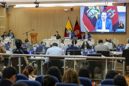 Con 17 votos a favor, el Concejo aprobó el exhorto al Gobierno.