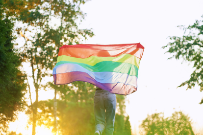 Referencial. Bandera de la comunidad LGBTI.