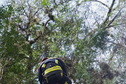 Camión cayó a una quebrada en Guayllabamba: un herido fue rescatado por bomberos
