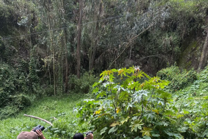 Estudiantes, comunidad y la academia participaron en el proceso.