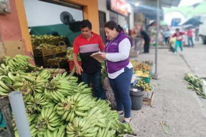 El precio del plátano verde levanta quejas y empuja a las aotoridades a realizar verificaciones.