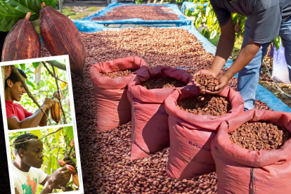 El programa Empleo Agro Joven busca impulsar emprendimientos rurales sostenibles liderados por jóvenes de Manabí y Napo.