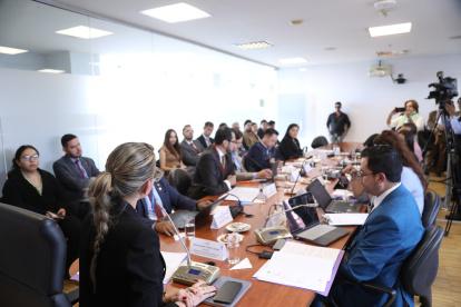 La Comisión de Justicia, presidida por la gobiernista Rosa Torres, tramitó las reformas al Código de la Democracia