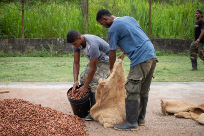 Los jóvenes seleccionados accederán a capacitación técnica certificada, alianzas estratégicas con actores del sector, y podrán recibir cofinanciamiento.