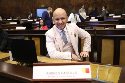 El asambleísta de ADN Andrés Castillo presentó la queja en contra de Mireya Pazmiño.