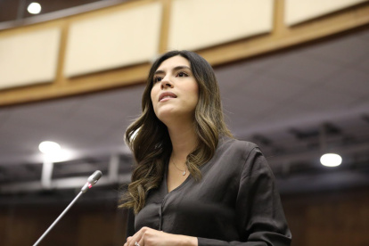 Valentina Centeno encabeza la Comisión de Desarrollo Económico en la que se tramitó la Ley de Integridad Pública.