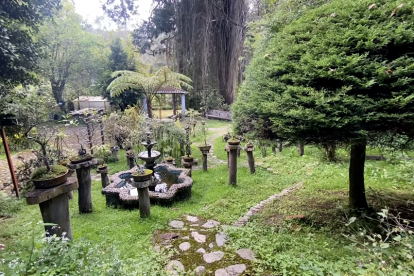 ---------------------------
LSO Protec
---------------------------
Se ha perdido y recuperado automáticamente la conexión con el servidor LSO
---------------------------
LSO Protec
---------------------------
Se ha perdido y recuperado automáticamente la conexión con el servidor LSO
---------------------------
1. Naturaleza. En este espacio se respira aire puro y se puede tener contacto con cientos de especies de árboles.