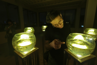 De la música punk a las galerías de arte: La historia de Boris Saltos y su nueva exposición tenebrosa. ¿Qué hay detrás de sus obras?